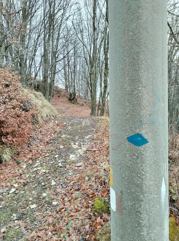 Rombo blu: la via del mare!