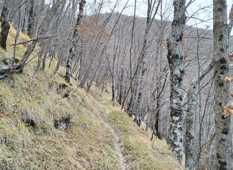 La salita verso Reneuzzi