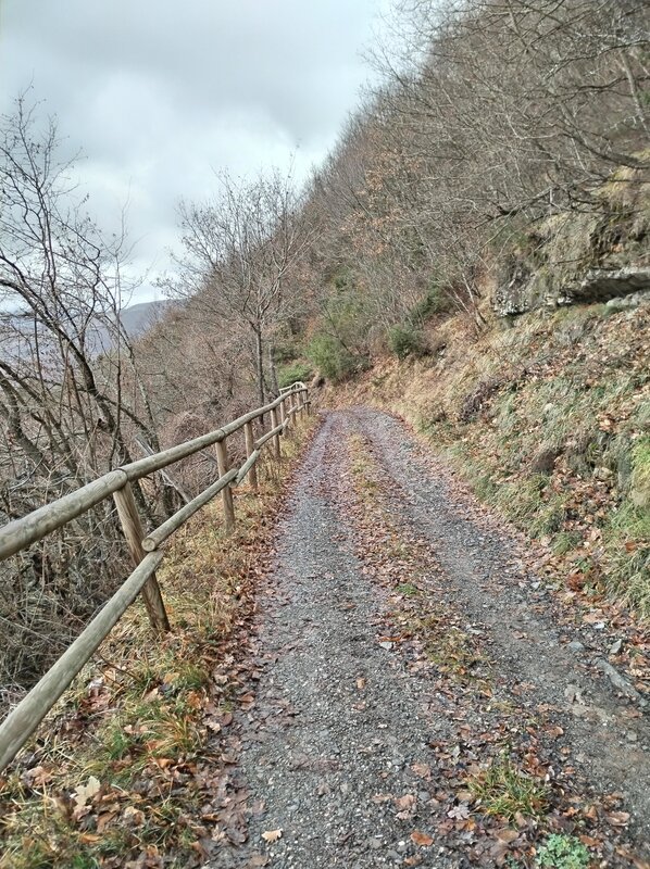 Si scende verso Vegni