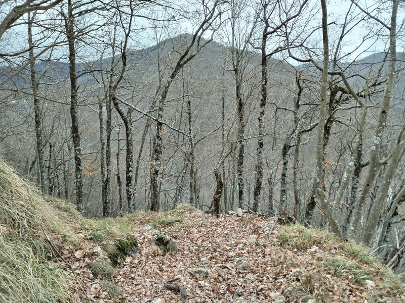 Il sentiero per Mulino d'Agneto