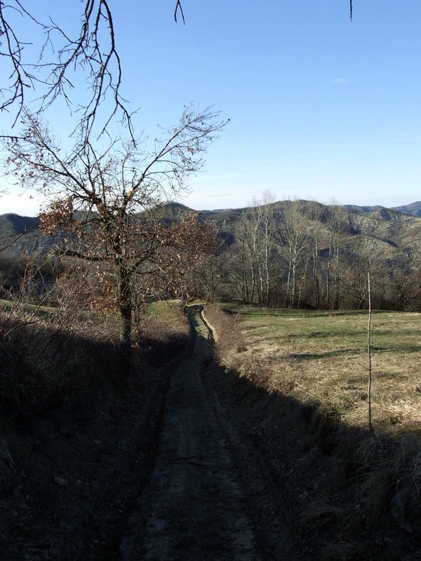 Guardando indietro, verso Pareto