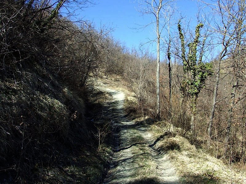 Il sentiero verso Cella di Varzi