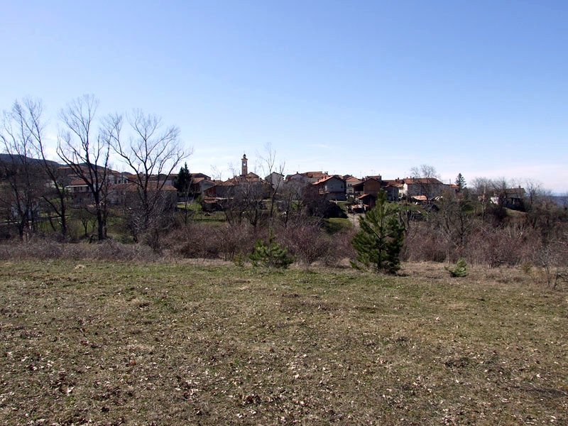 Panorama di Selvapiana