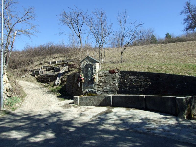 L'arrivo a Selvapiana