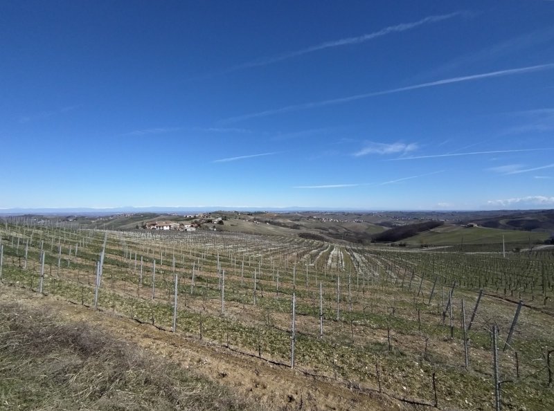 Panorama verso nord-est