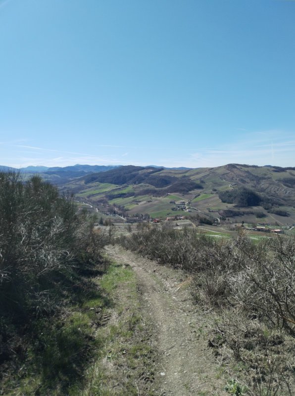 La discesa tra vigneti e ginestre