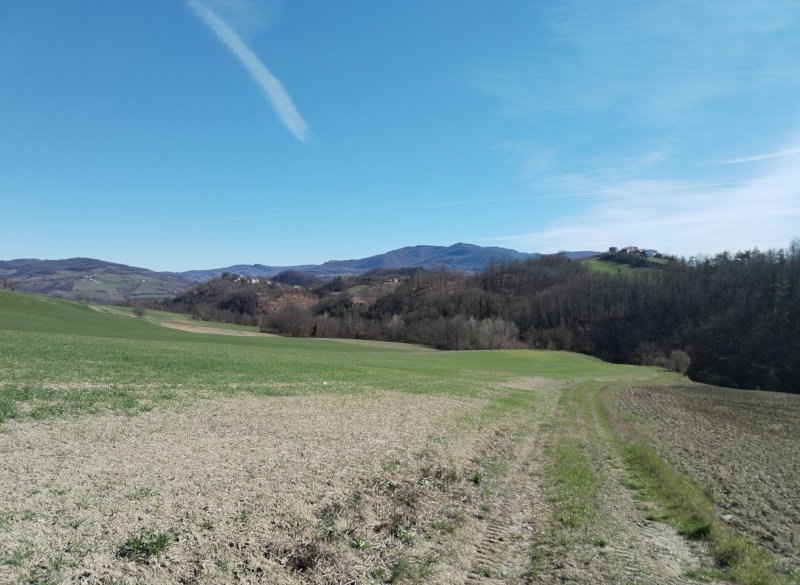 Le colline verso Zavattarello