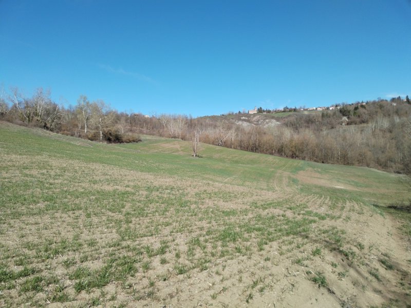 Sullo sfondo il santuario di N.S. di Montelungo