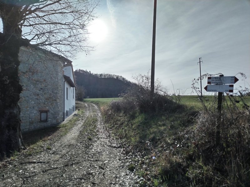Si lascia la strada tagliando per Zavattarello