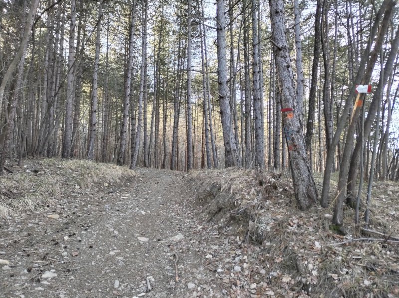 Salendo verso "il Monte"