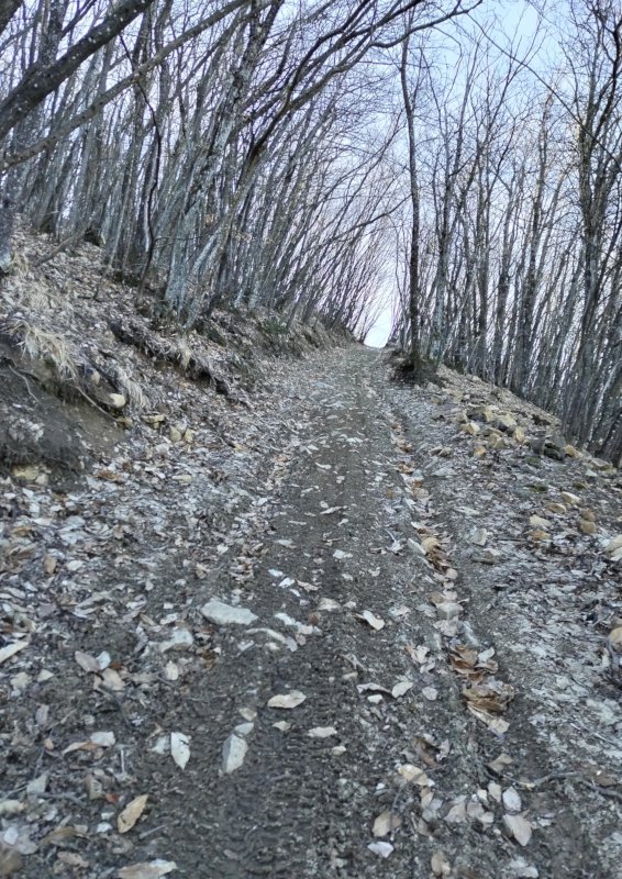 La salita si fa sempre più ripida