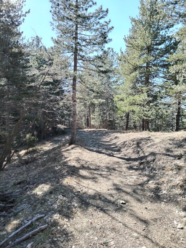 Dalle parti del Calenzone