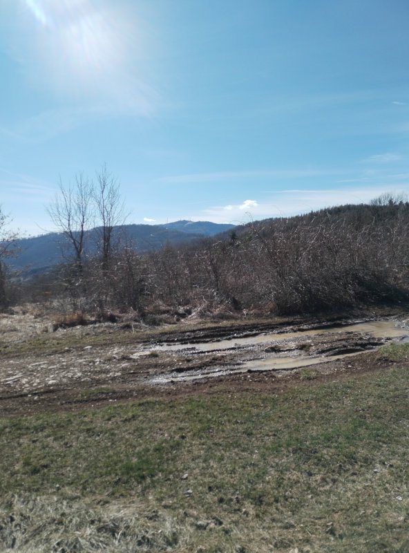 Quello in fondo è il Penice!