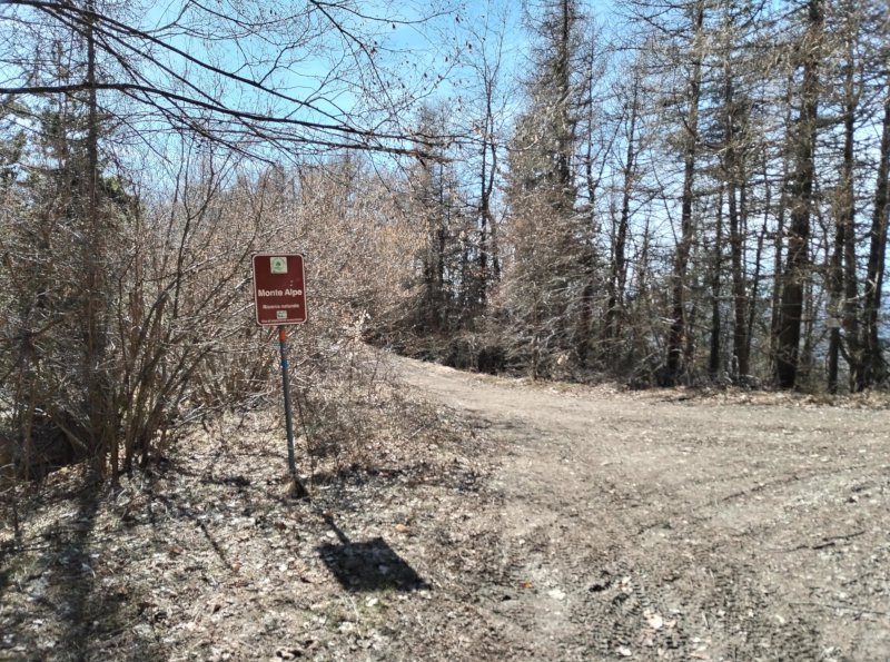 Nella riserva del monte Alpe