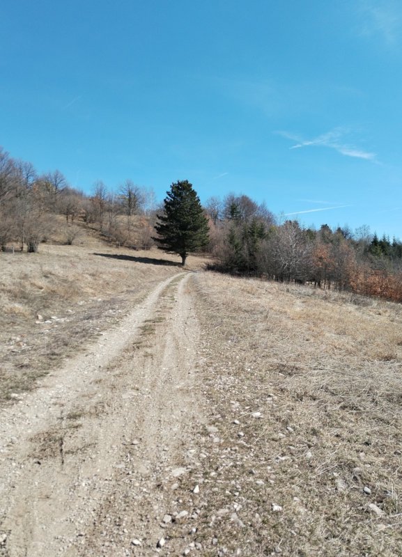 Dopo pranzo si riparte