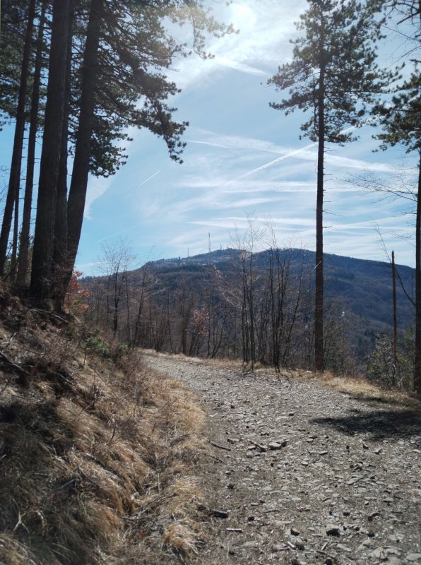 Il monte Penice un pochino più vicino