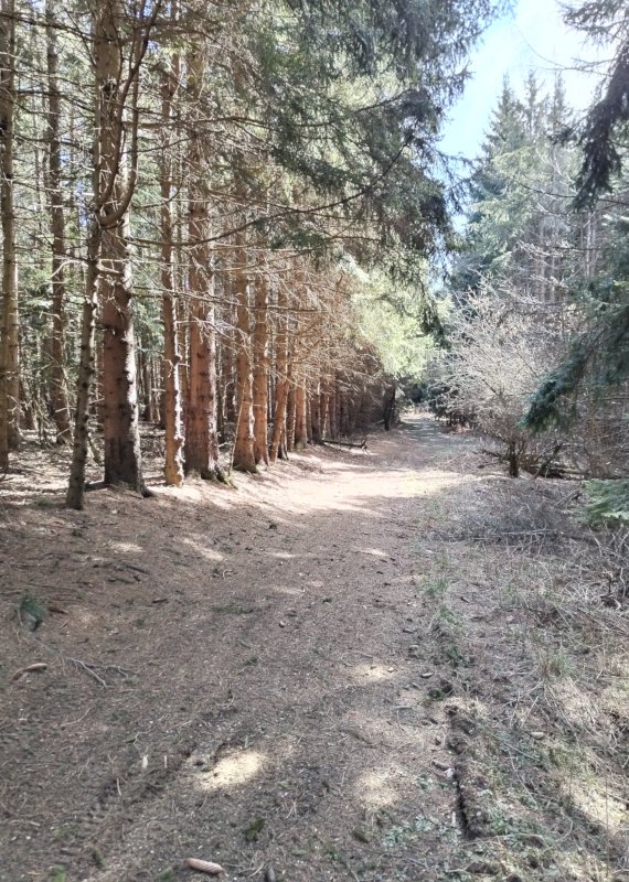 E sale ripidamente...