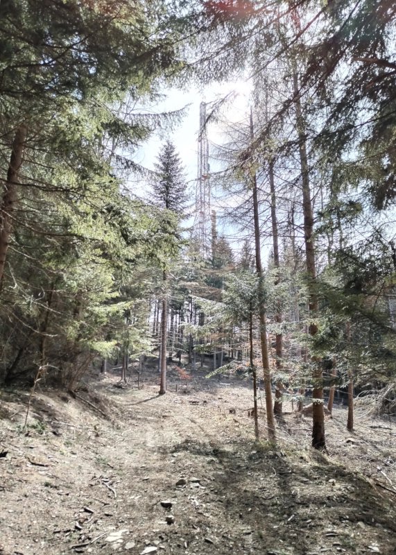 Primo ripetitore in vista