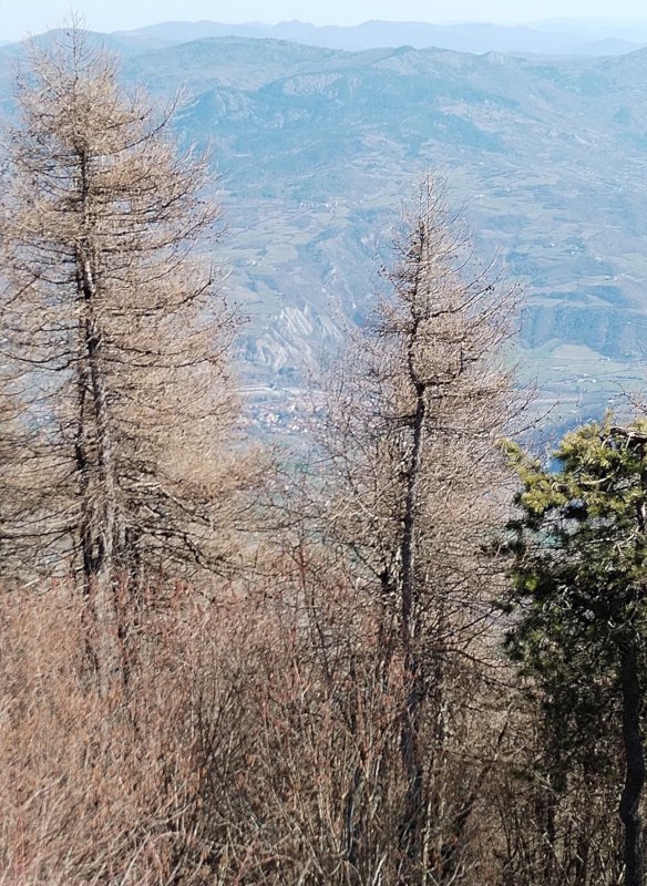 Laggiù in fondo, la meta: Bobbio