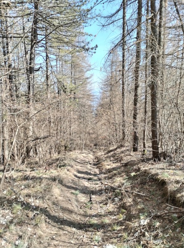 La discesa non è delle più agevoli