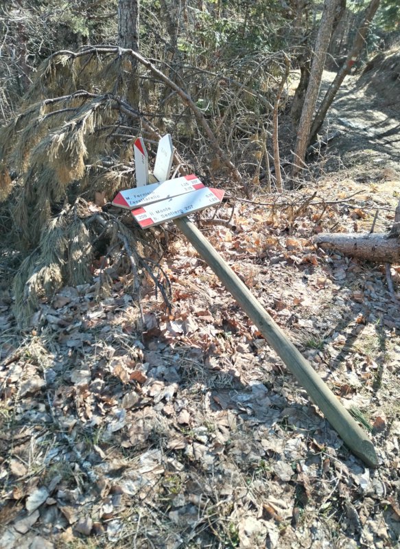 Da qui in poi qualche testina ha fatto strage di paline