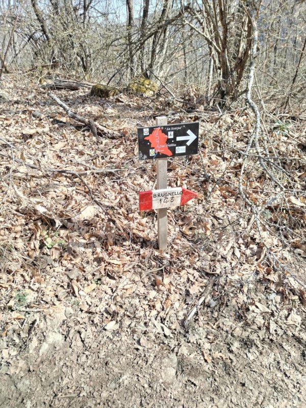 La strada è quella giusta