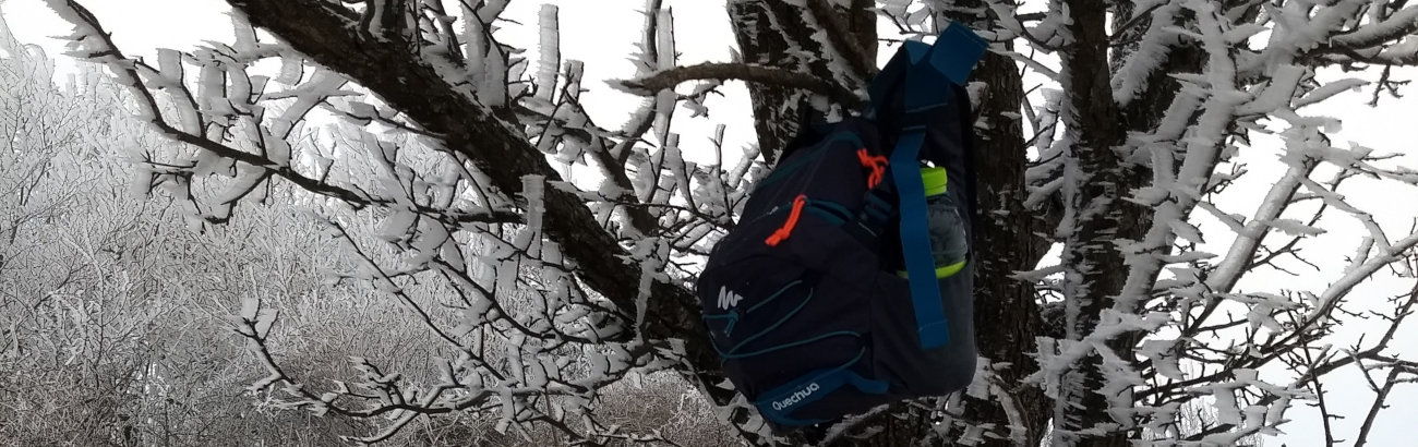 Marsupio extralarge Quechua 10 litri