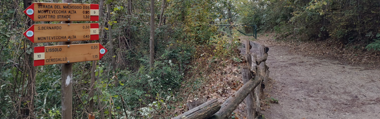 Aggiornamenti dicembrini